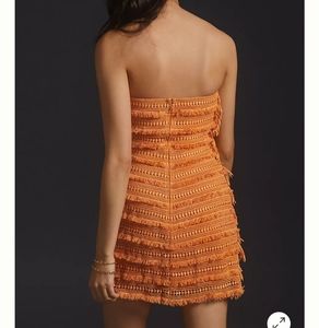 Let Me Be Fringed Tube Mini Dress Anthropologie